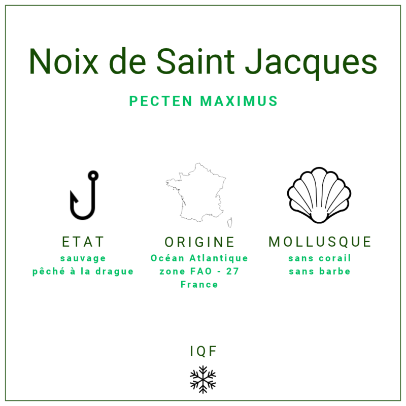Noix de st Jacques crues s/c du Pérou 20/30