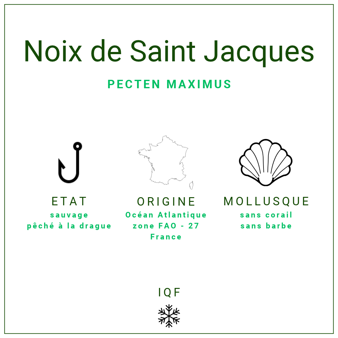 Noix de st Jacques crues s/c du Pérou 20/30