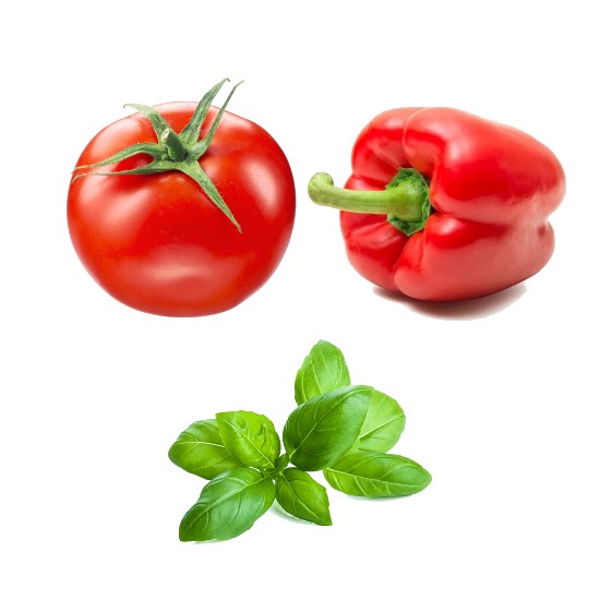 Bac 2.5L - Sorbet Tomate Poivron Basilic