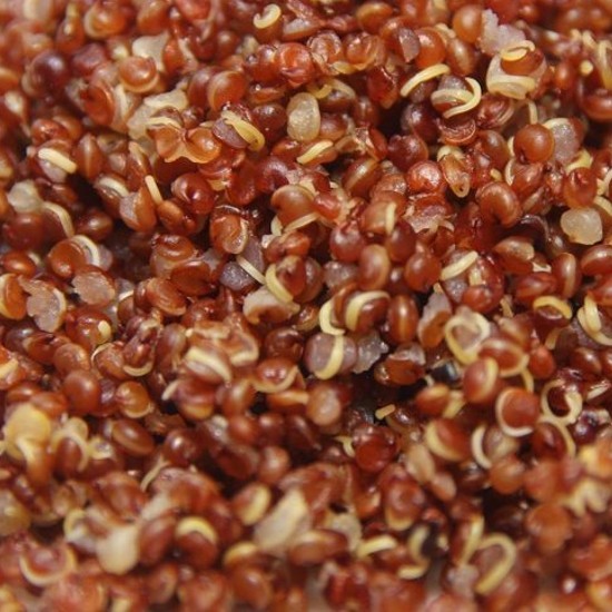 Quinoa rouge cuit