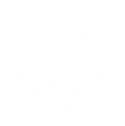 Canard
