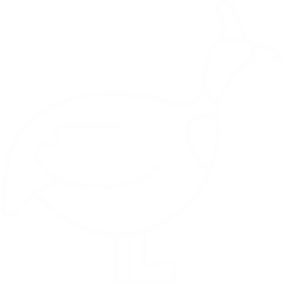 Pintade