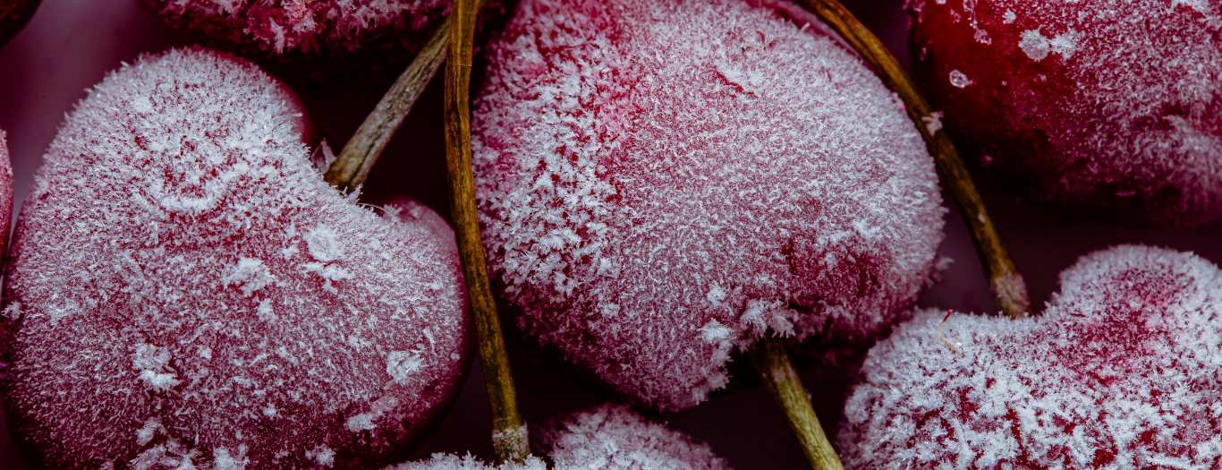 La surgélation IQF : l'excellence du surgelé au service des professionnels